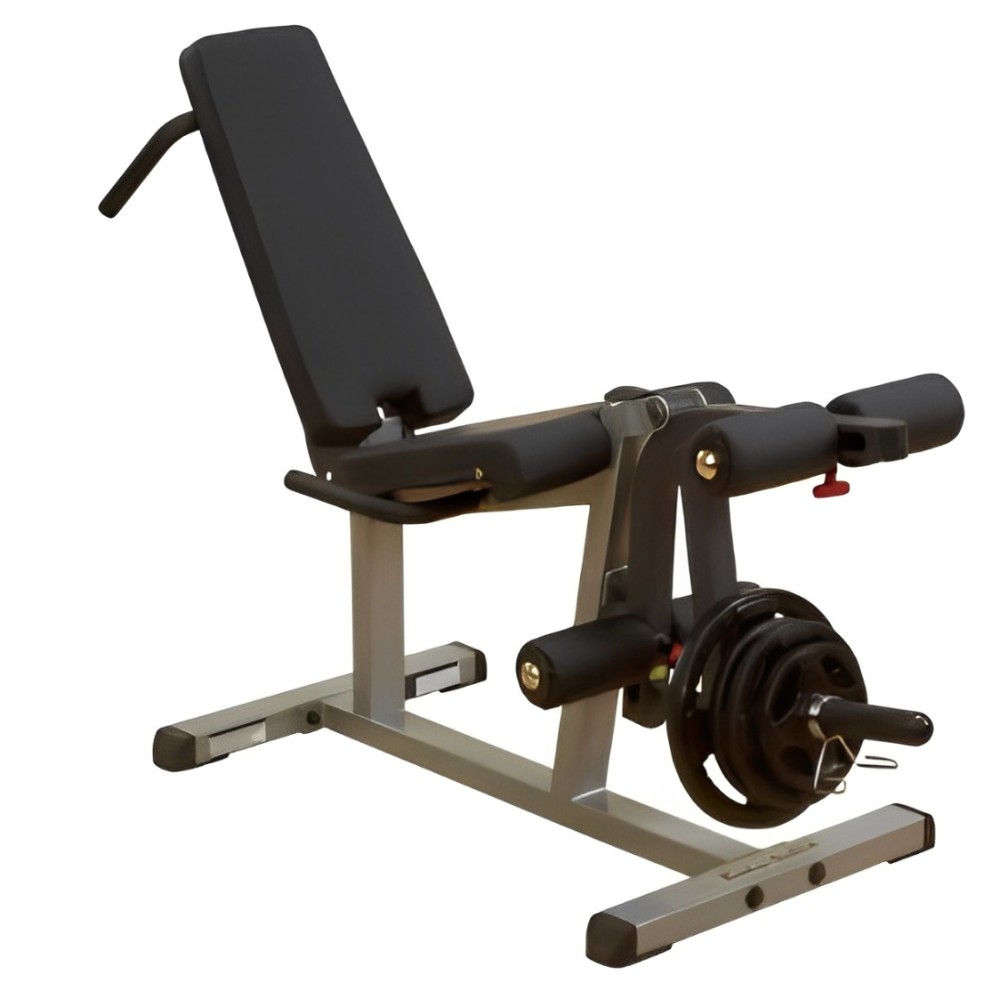 Body Solid - Máquina de glúteos y isquiotibiales para entrenamiento de  pesas, gimnasio en casa y comercial