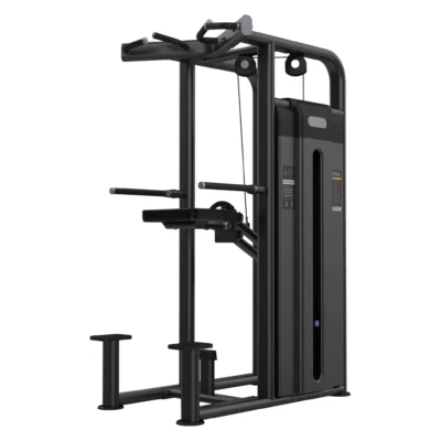 APARATO DIP/ DOMINADAS ASISTIDAS