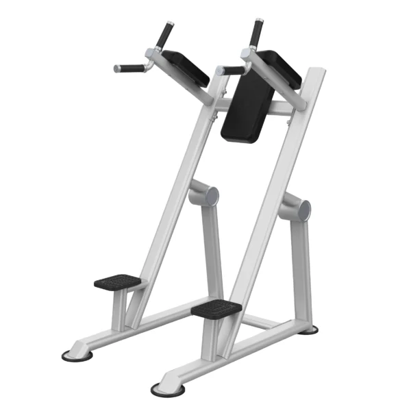 APARATO PARA ABDOMEN Y FONDOS UP/DIP
