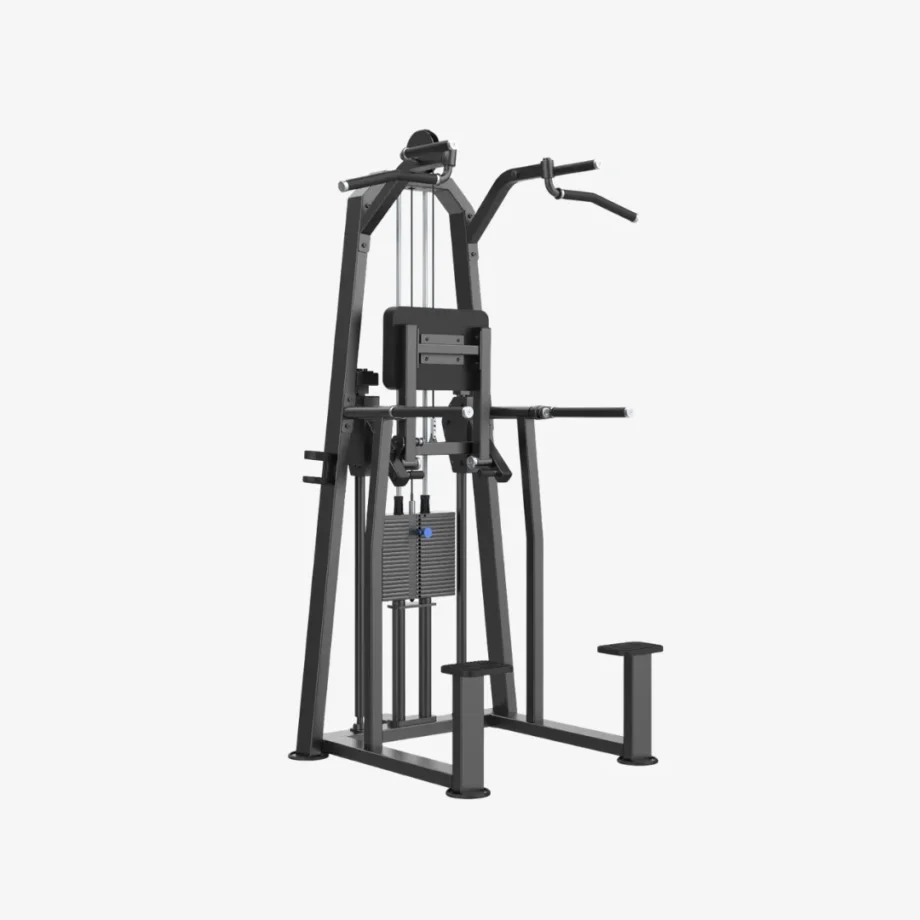 Equipo dip chin assist con peso integrado