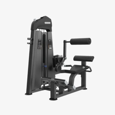 Equipo extensión de espalda con peso integrado