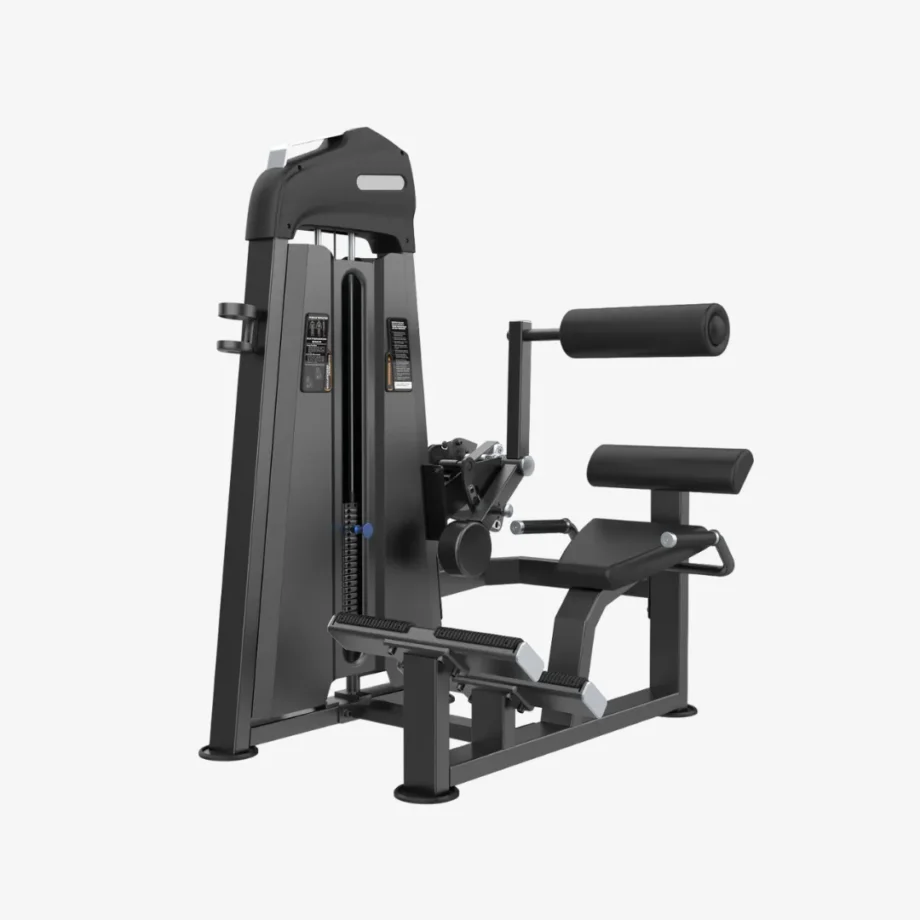 Equipo extensión de espalda con peso integrado